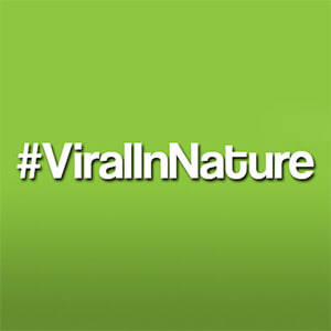 Viral In Nature